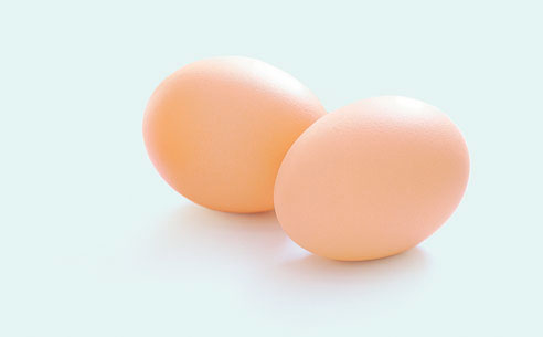 eggs