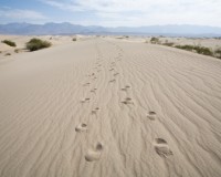 Footprints in dunes
