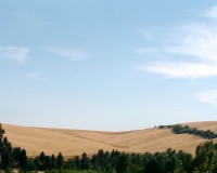 Ruth 5