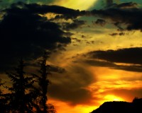Nicodemus.1