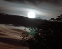 Nicodemus Night.2a