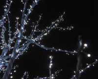 Lights 1